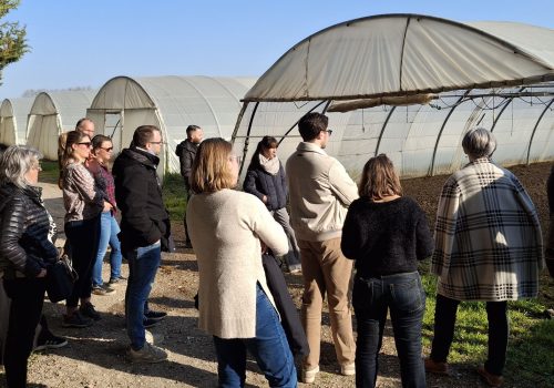 View of alpilles natural park in Spring from Les Baux de Provence, France