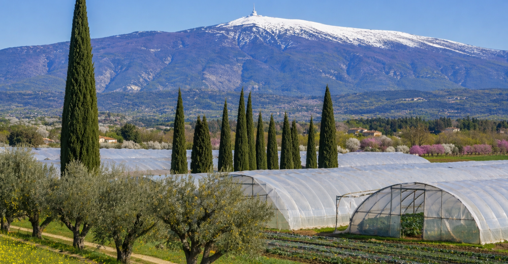 méditerrabio provence